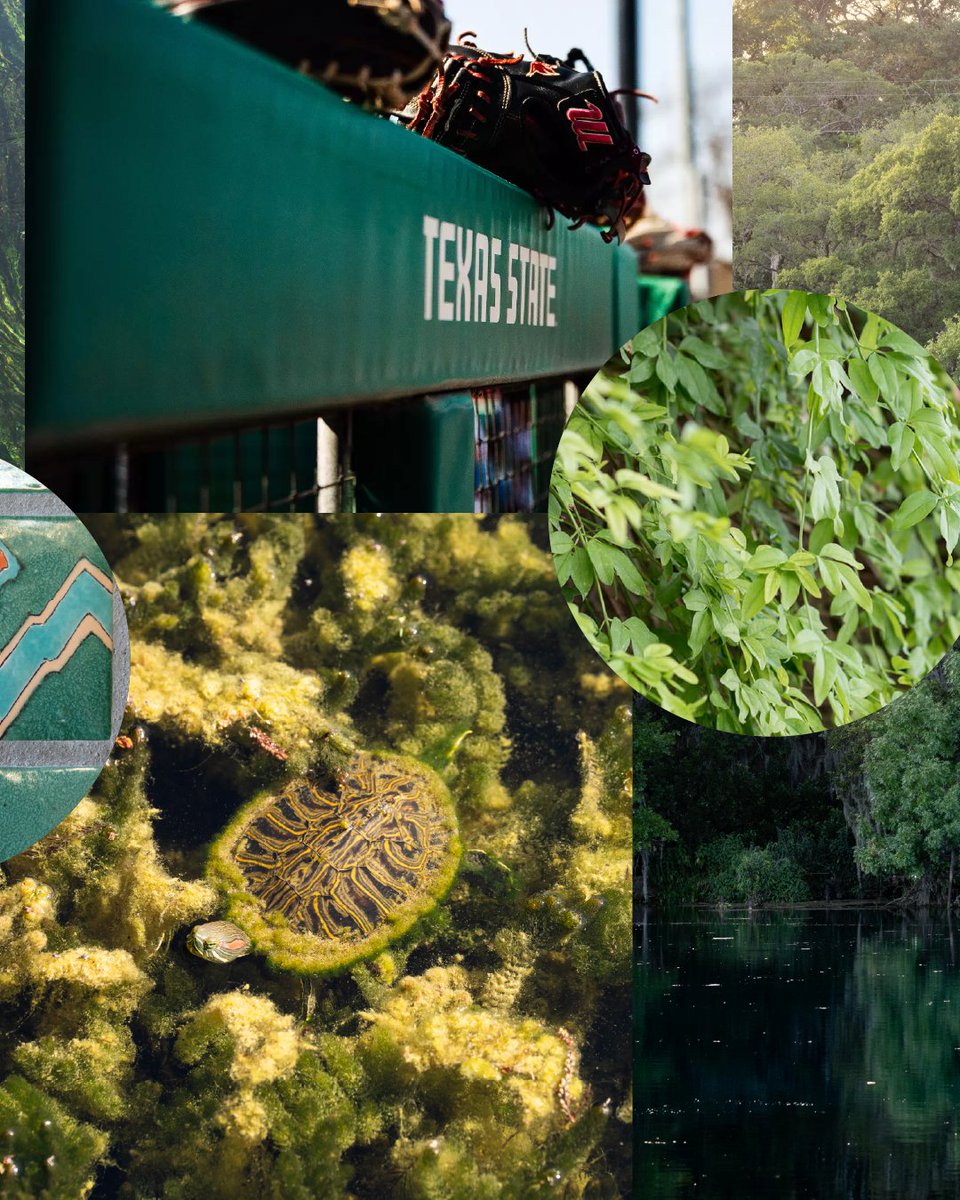 Texas State University Alumni tweet media