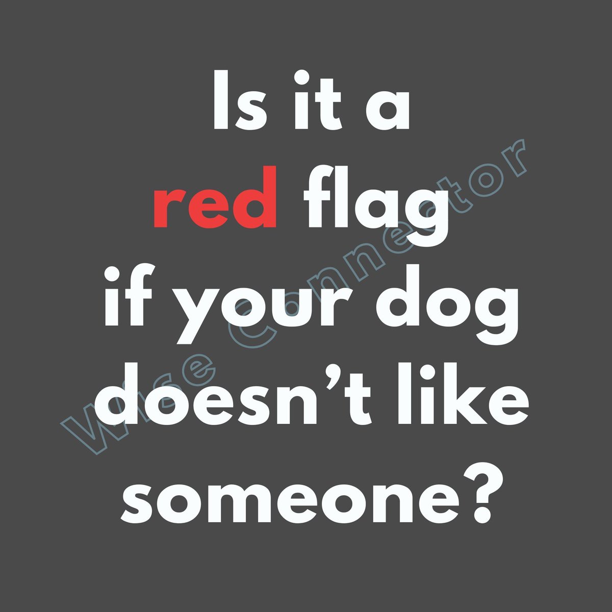 Ｗ 𝗜 𝗦 𝗘 𝗖 𝗢 𝗡 𝗡 𝗘 𝗖 𝗧 𝗢 𝗥 ™ 💬 tweet media