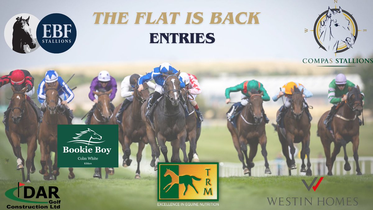 Naas Racecourse tweet media