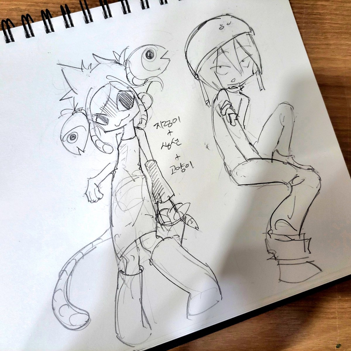 강도육 tweet media