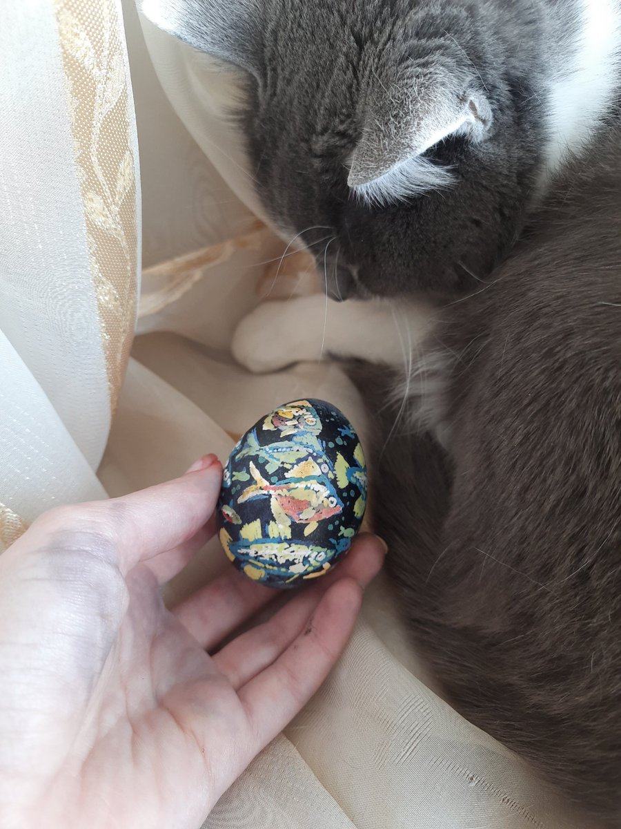 хтось tweet media