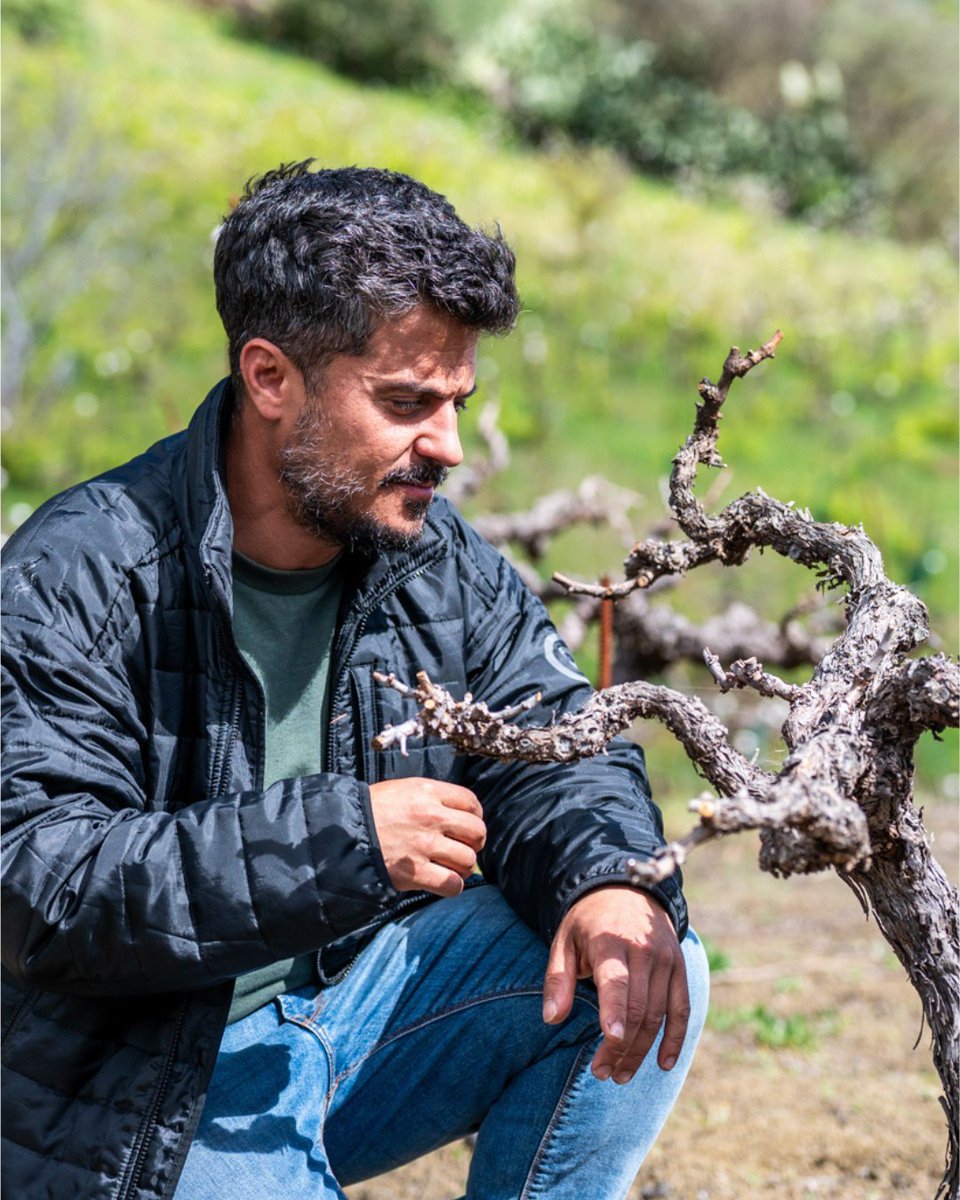 TerraeRural's tweet photo. #terrae2026
Entre viñas y tradición, nace el carácter de un territorio. 🍇🌿
Los viñedos de Carmelo Peña son el reflejo de una forma de entender la tierra: respeto, paciencia y pasión por el origen.
@GranCanariaCab @CamaraGCanaria @grancanariamg https://t.co/4A6mDXx3u9
