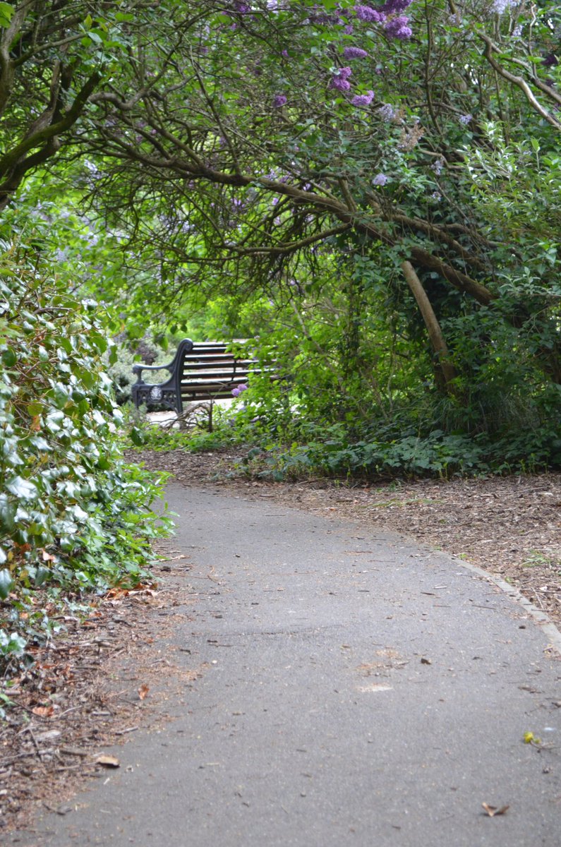 DebbieJayephoto's tweet photo. Primavera en el Parque
Photography by Debbie Jaye Photography
#spring #photography #nature #trees #lovespring #photos #lovephotos #London #photographer #park #parkland https://t.co/kNJvYSDw9H