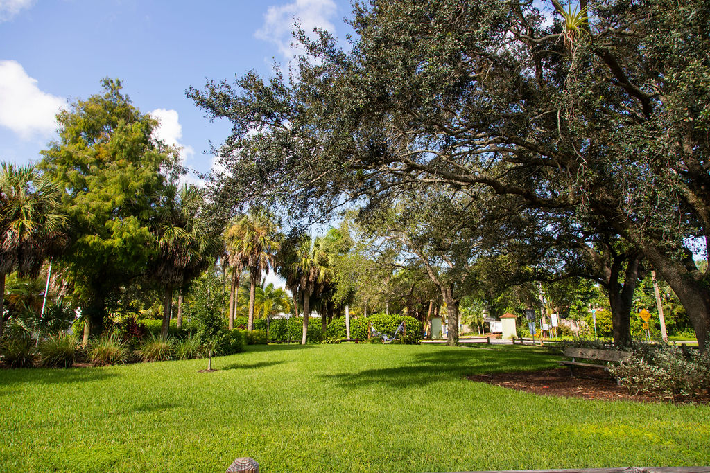 Mayor Dean J. Trantalis tweet media