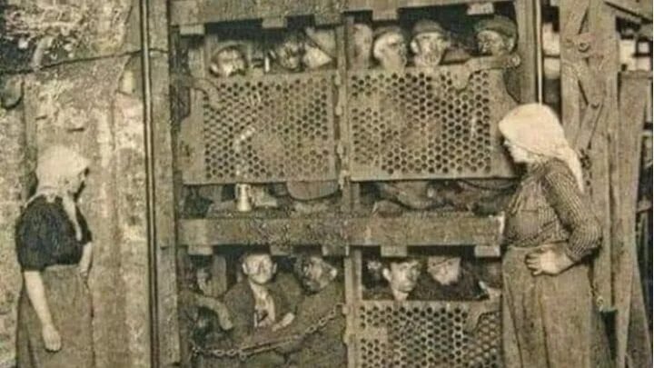 Dreamweaver tweet media