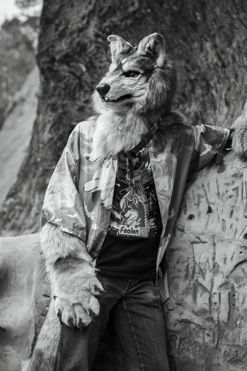 Fao Wusky tweet media