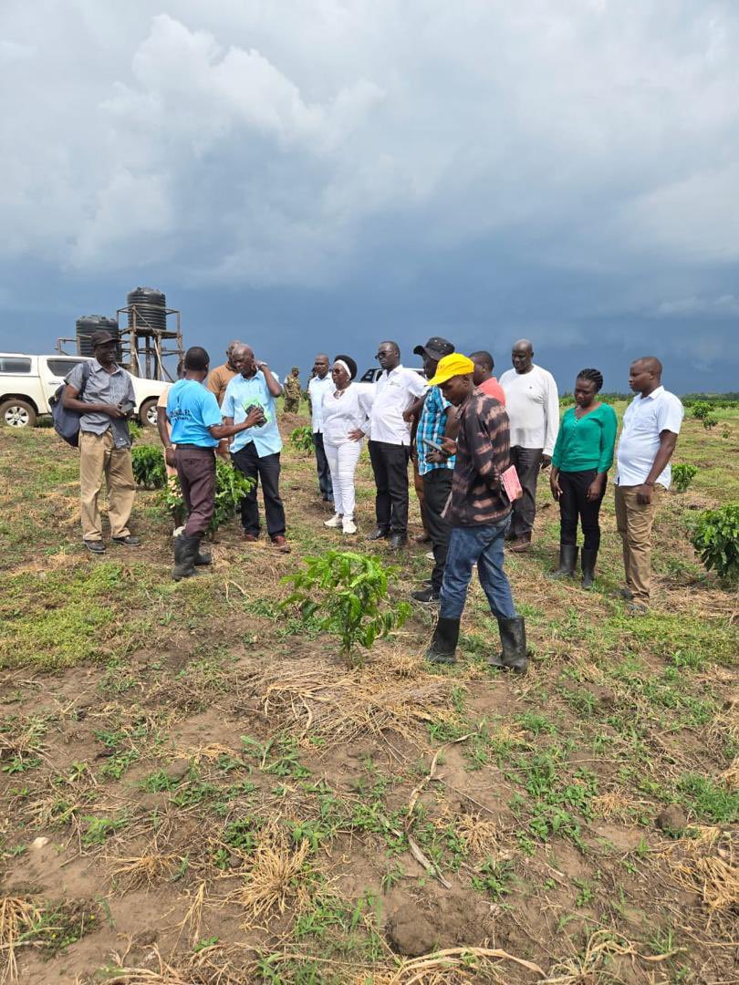 Operation Wealth Creation tweet media