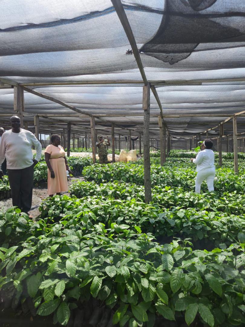 Operation Wealth Creation tweet media