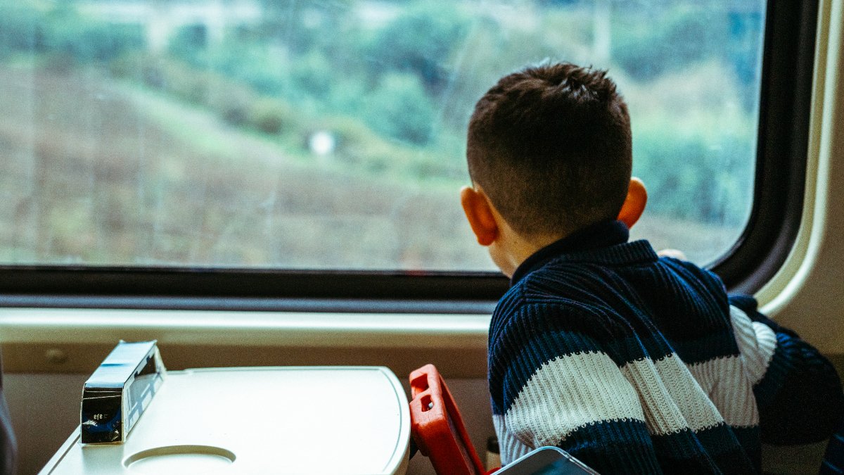 Tren Chillán - Estación Central tweet media