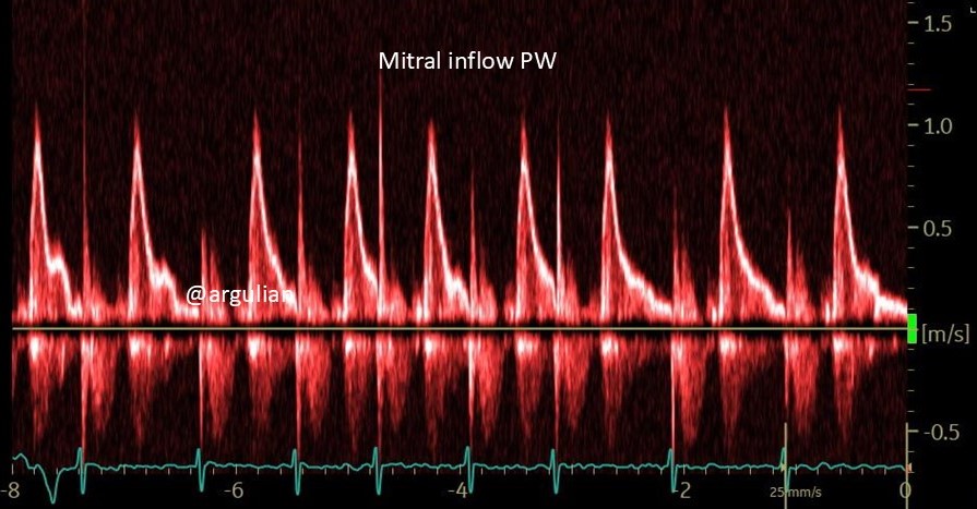 Edgar Argulian tweet media