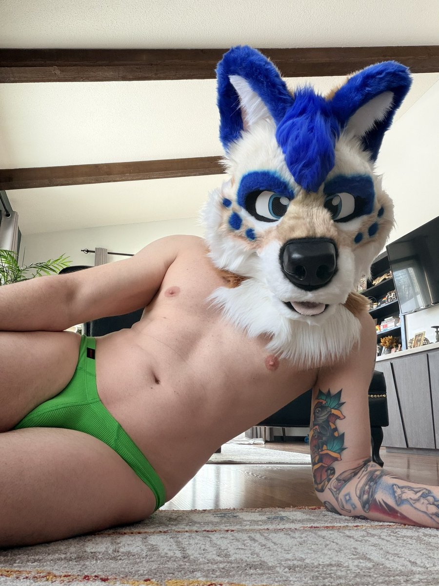 Xenon Behaves Badly ➡️ FWA tweet media