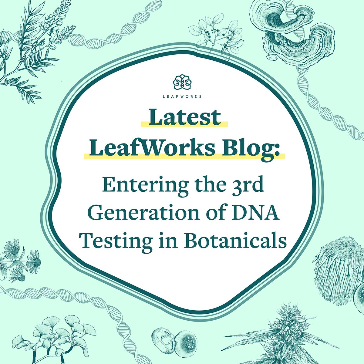 LeafWorks tweet media