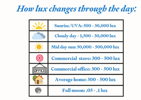 Dr Sara Pugh PhD tweet media