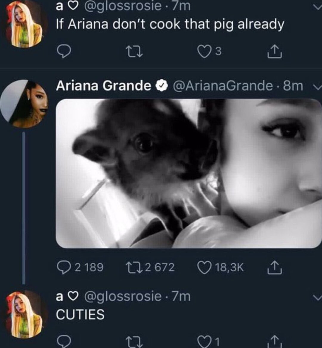 randy 𐐪𐑂 tweet media