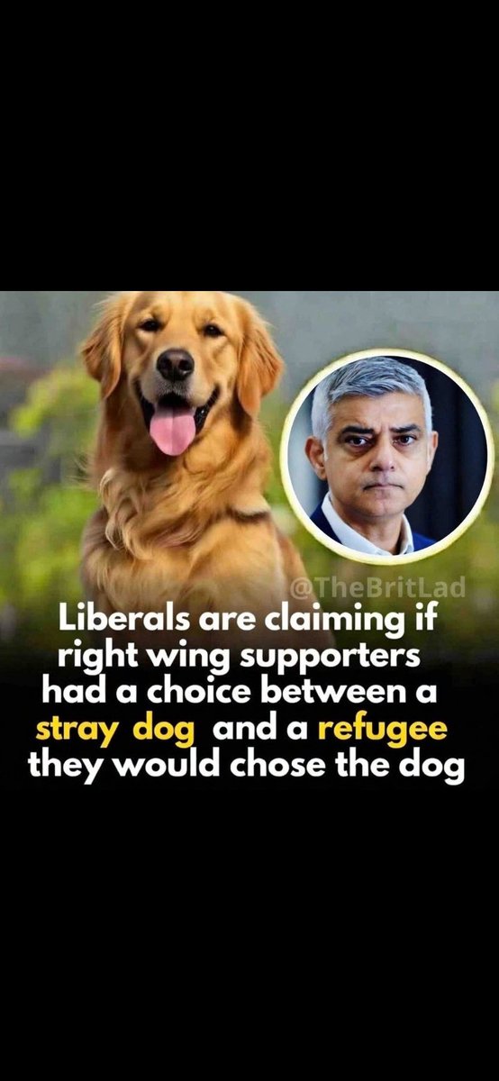 🏴󠁧󠁢󠁥󠁮󠁧󠁿Britain's rights 🇬🇧 tweet media