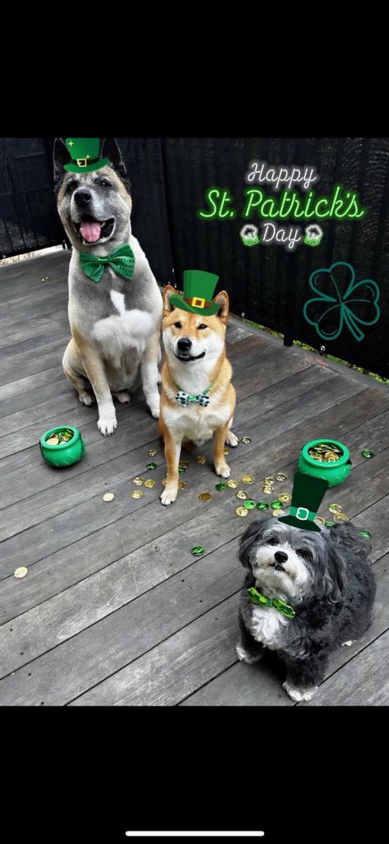 Doge Tipping tweet media