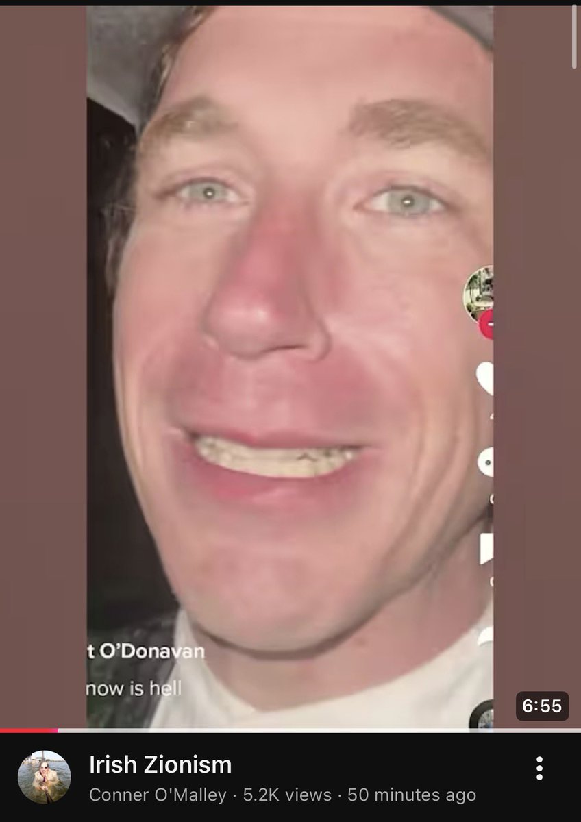 kate bush’s husband 2 tweet media