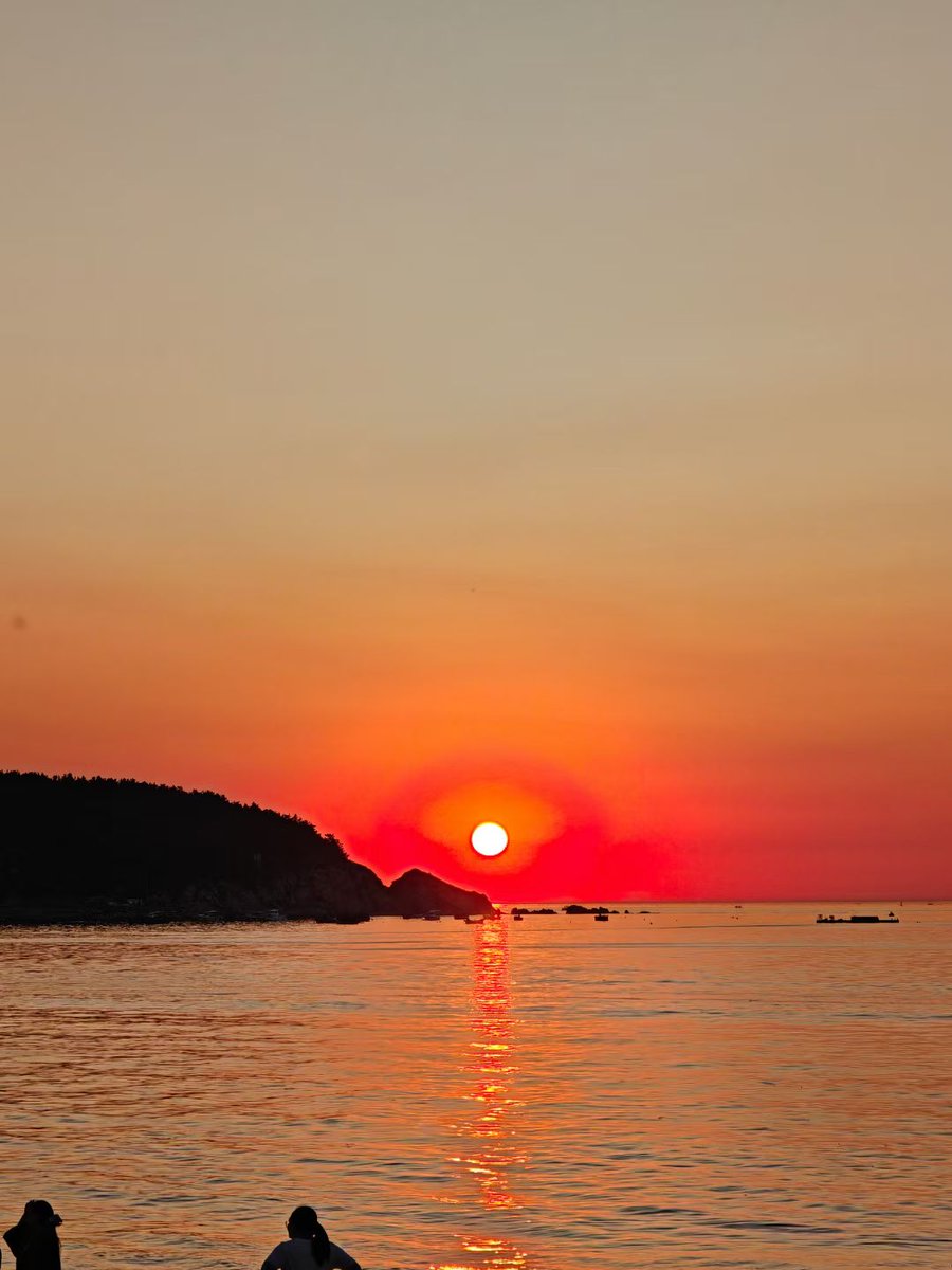 Maria Khatun tweet media