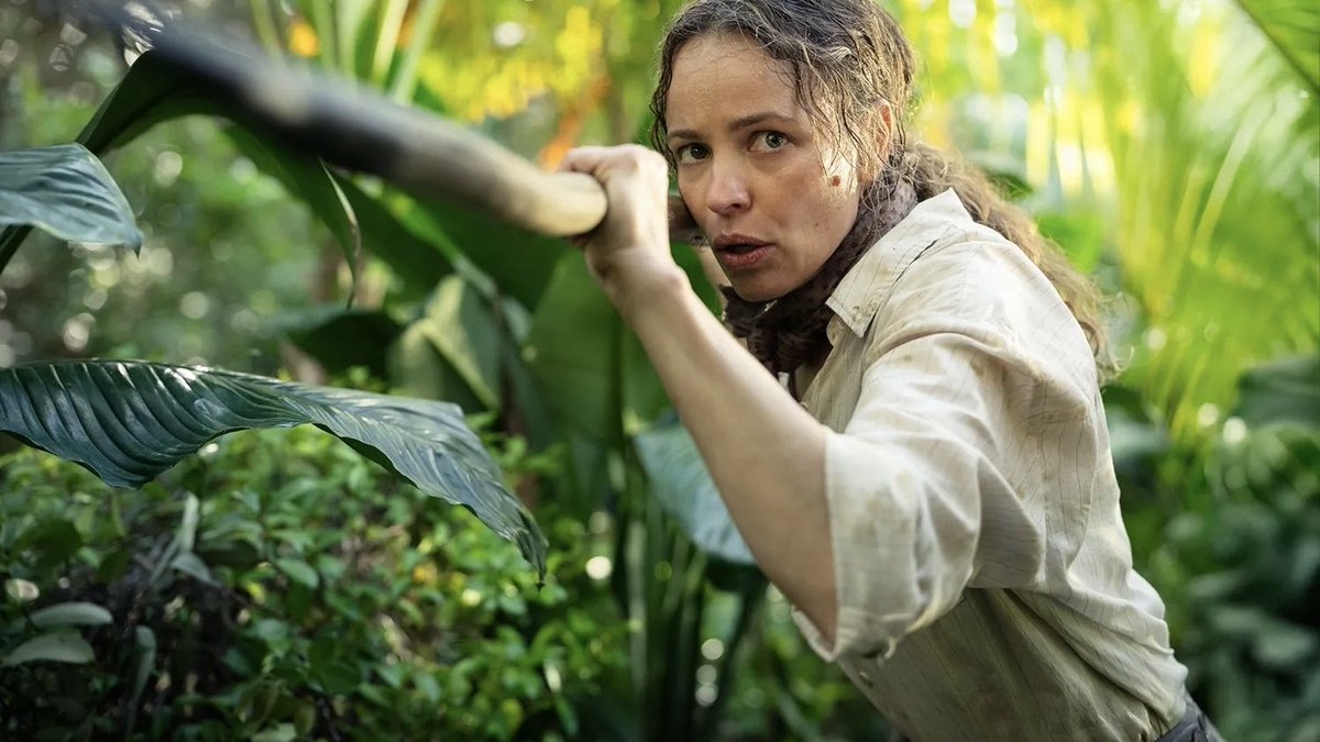 Alerta de Torrent tweet media