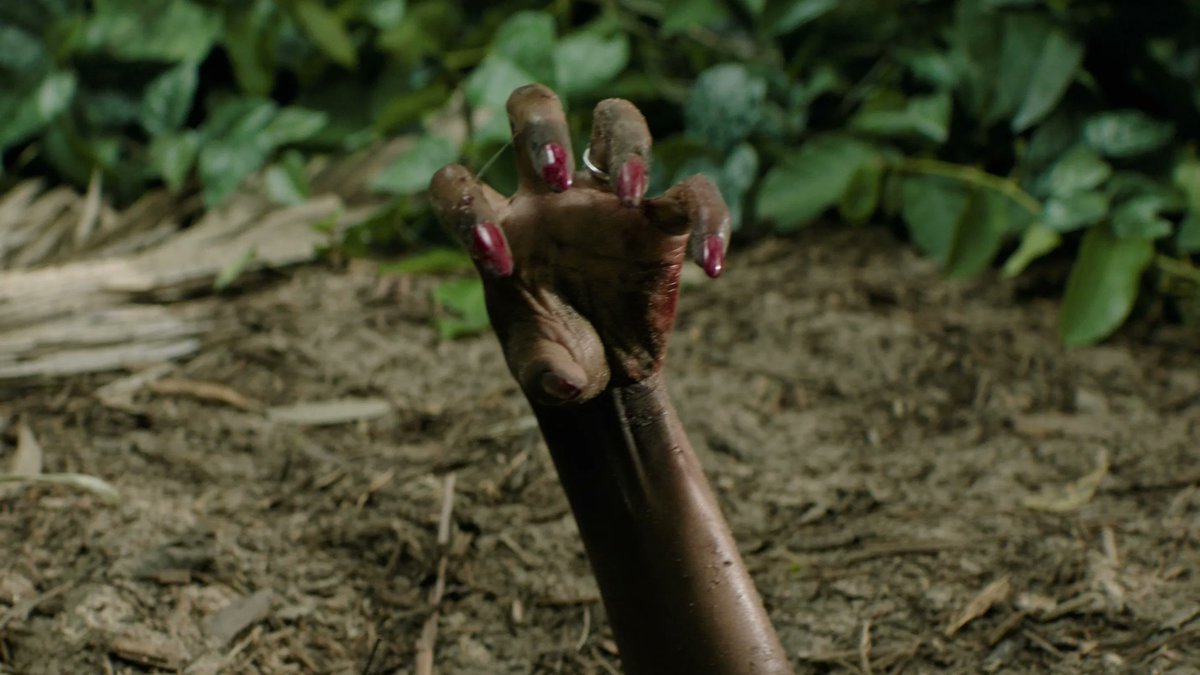 Alerta de Torrent tweet media