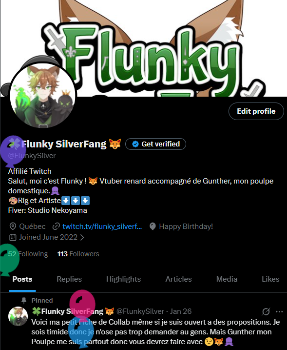 🍀Flunky SilverFang 🦊 tweet media