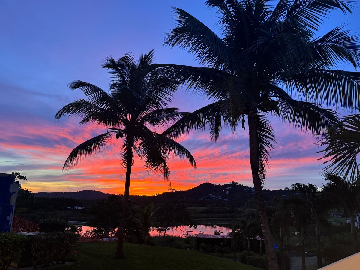 Niklas Anzinger 📍 Infinita tweet media