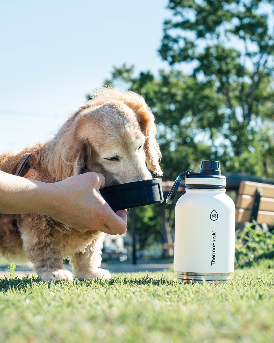 OUTDOOR PARK 【アウトドアパーク】 tweet media