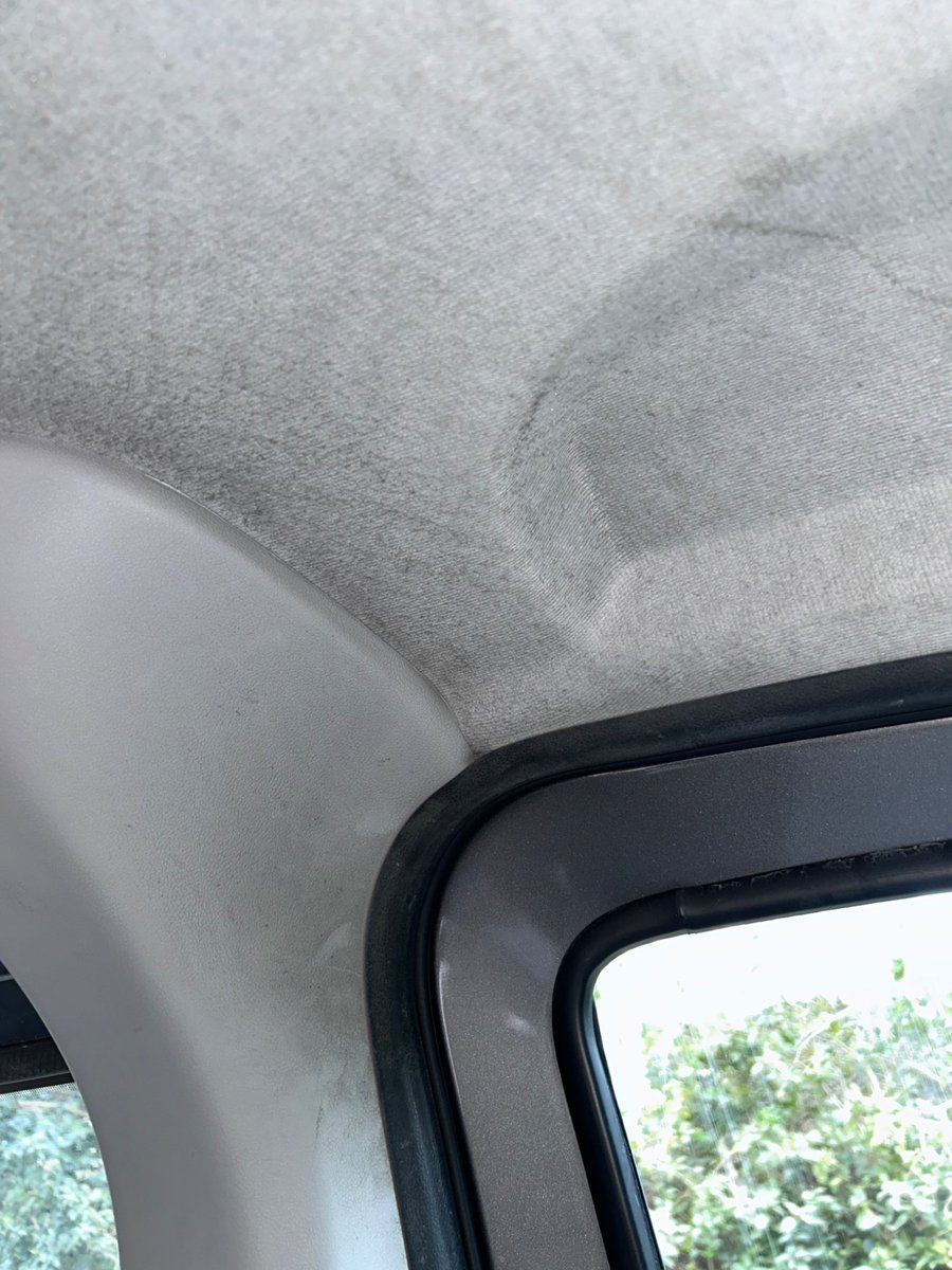 Betelgeuse tweet media