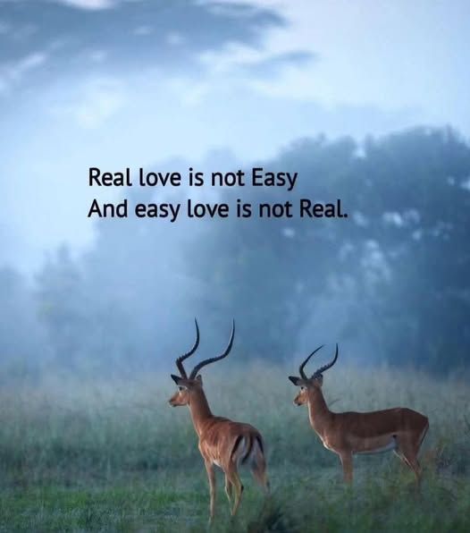 PositivitySaid tweet picture