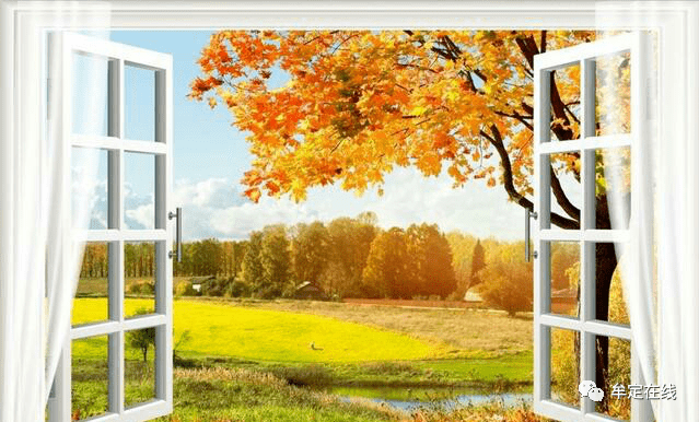 noah chfiri tweet media