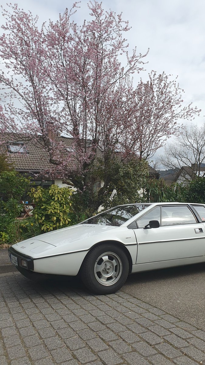 StillAliveCars's tweet image. #Springtime with my #Lotus Esprit S1

@ClubLotusFrance @EspritWorld @SparkyLotus @WRCPAST