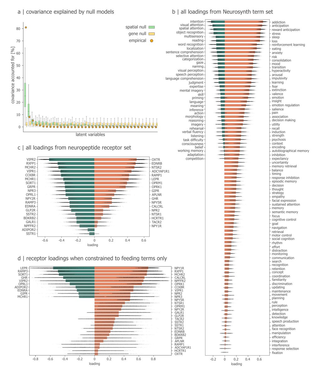 Bratislav Misic tweet media