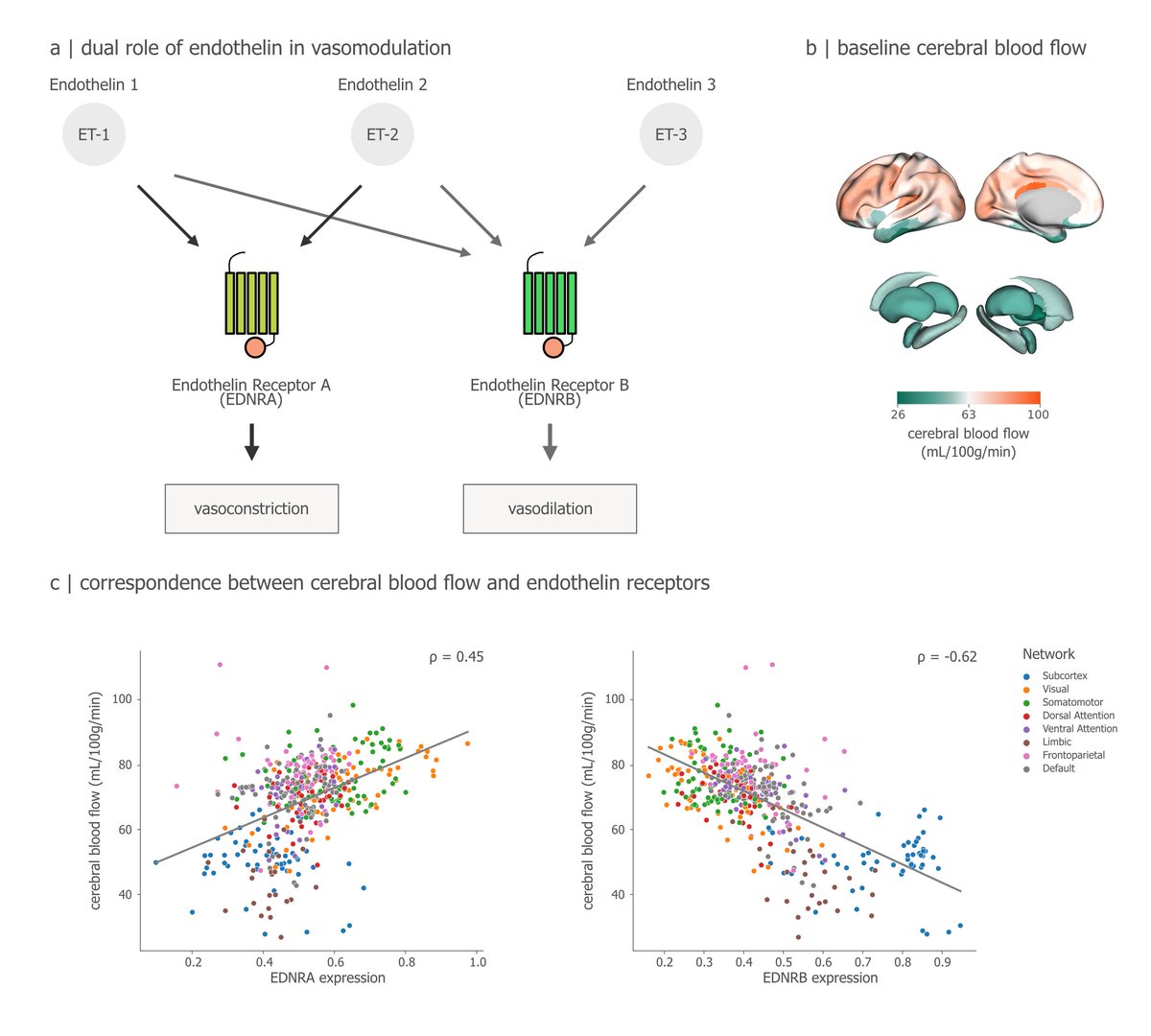 Bratislav Misic tweet media