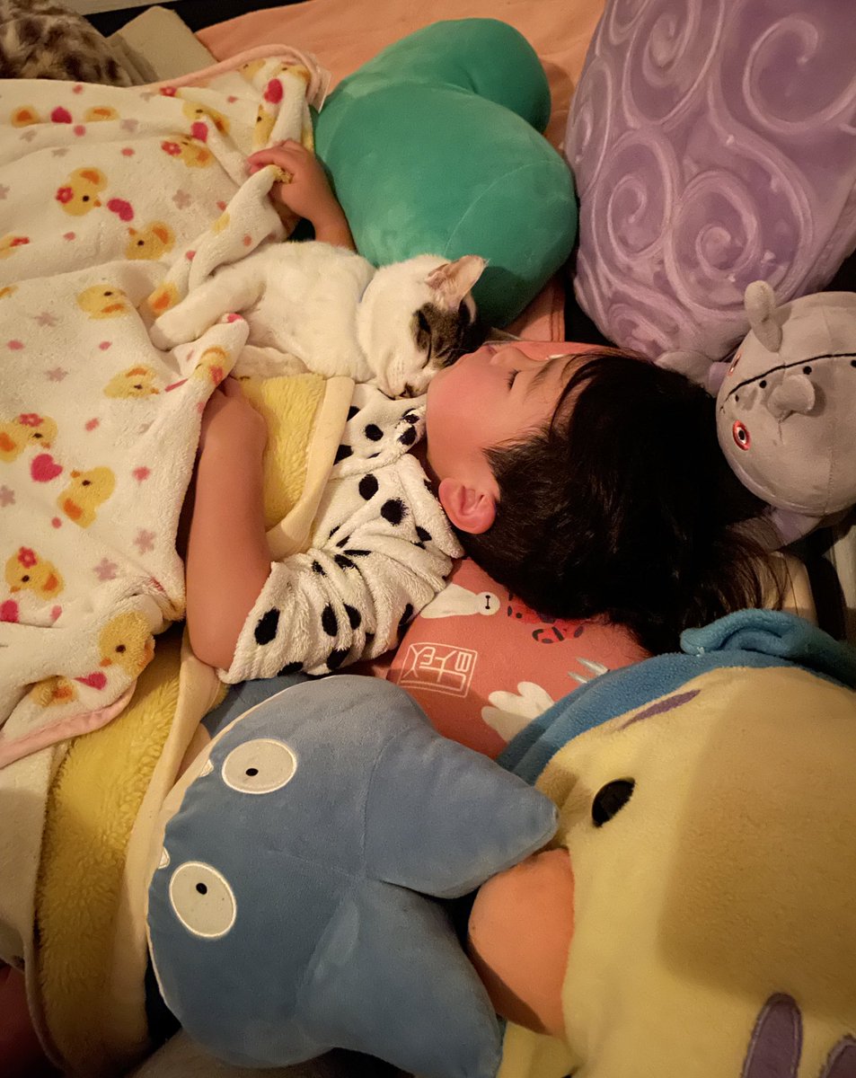 ゴンゾウR4 tweet media