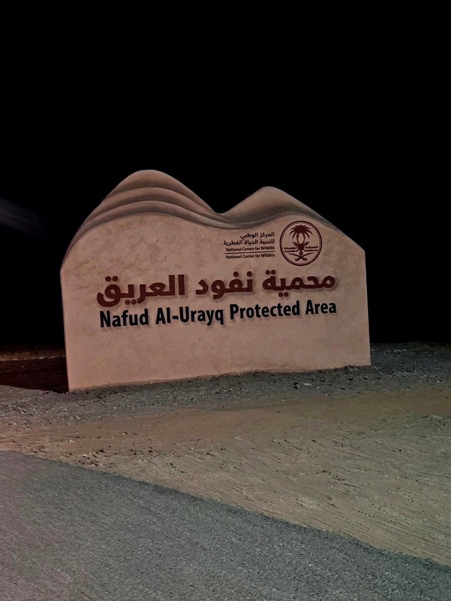 نور الفلك tweet media