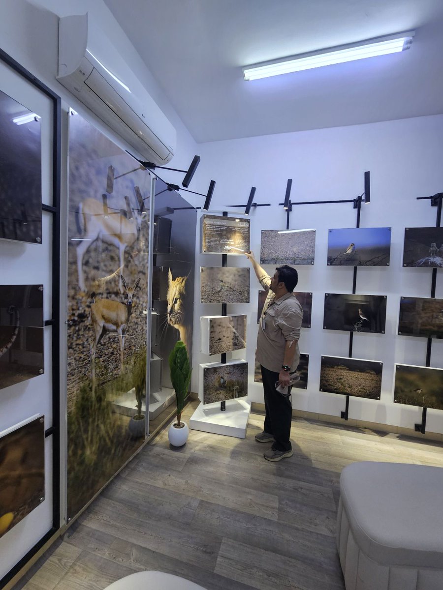 نور الفلك tweet media