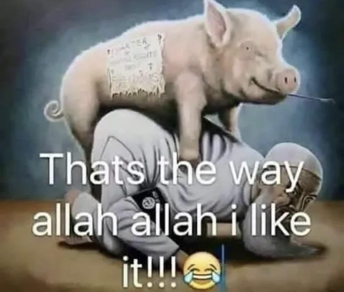 Central Scrutinizer tweet media