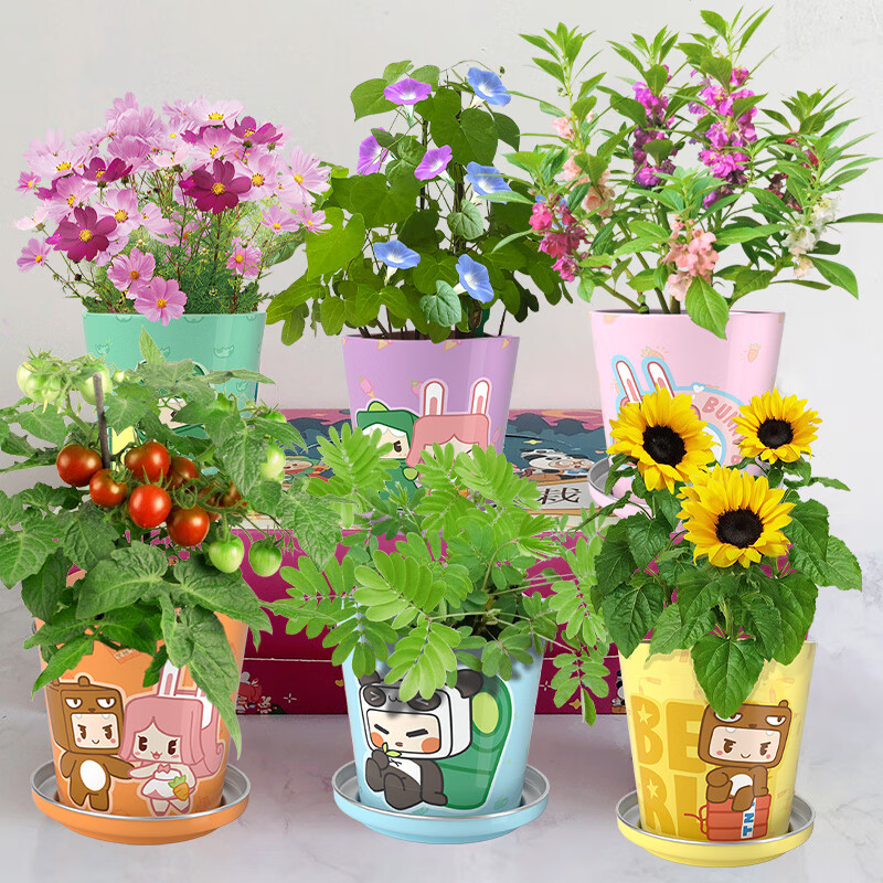 JoeKim Henniebslh tweet media