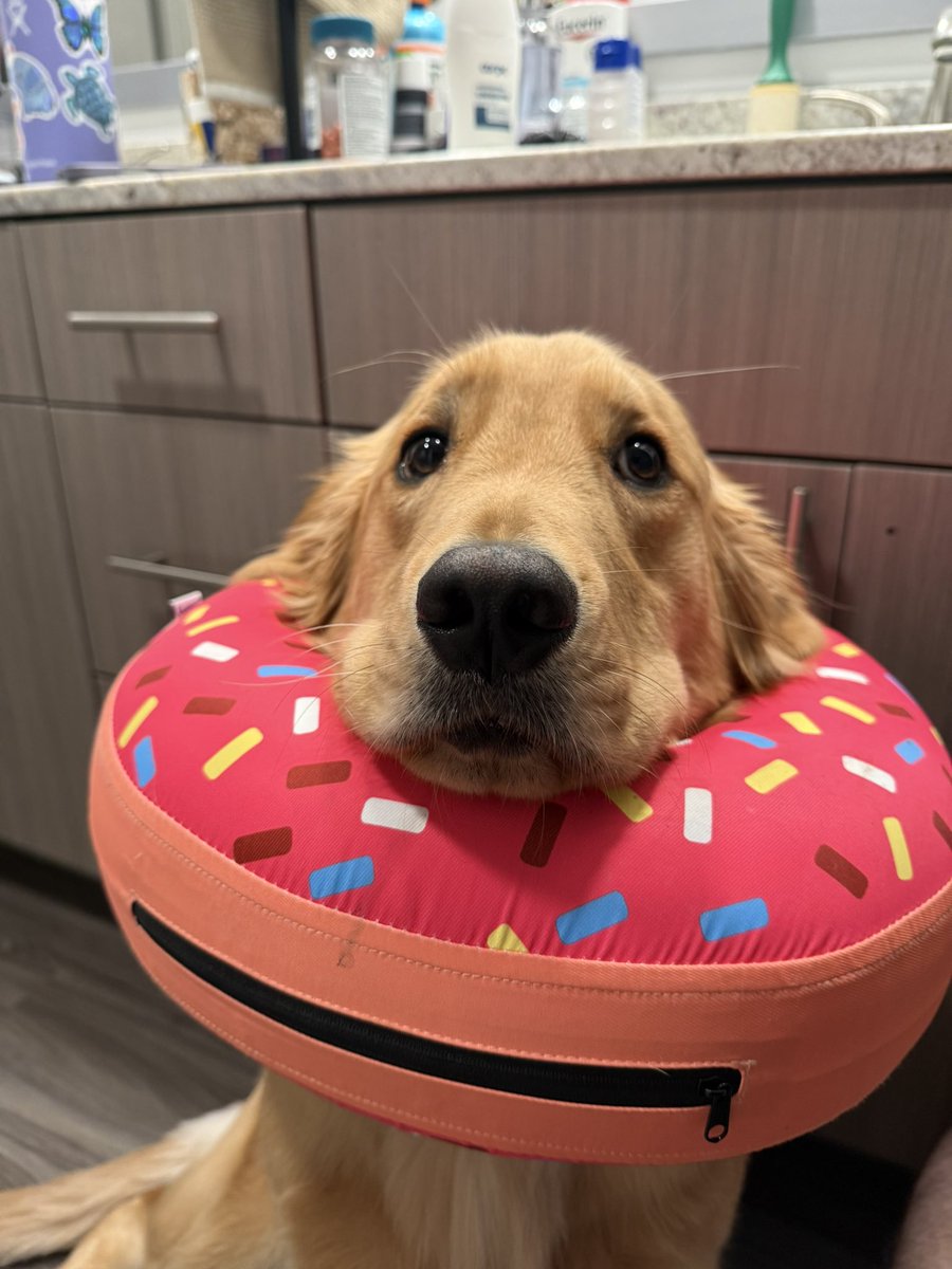 MikeIndo22's tweet image. Day 1,234 of tweeting @vindiesel until he promises me he’s going to put Pepas in the next Fast movie.  I will never stop grinding, I am dedicated #family and I know what this song will do to #FastandFurious #Fast11 needs this. I need this. Athena needs this.