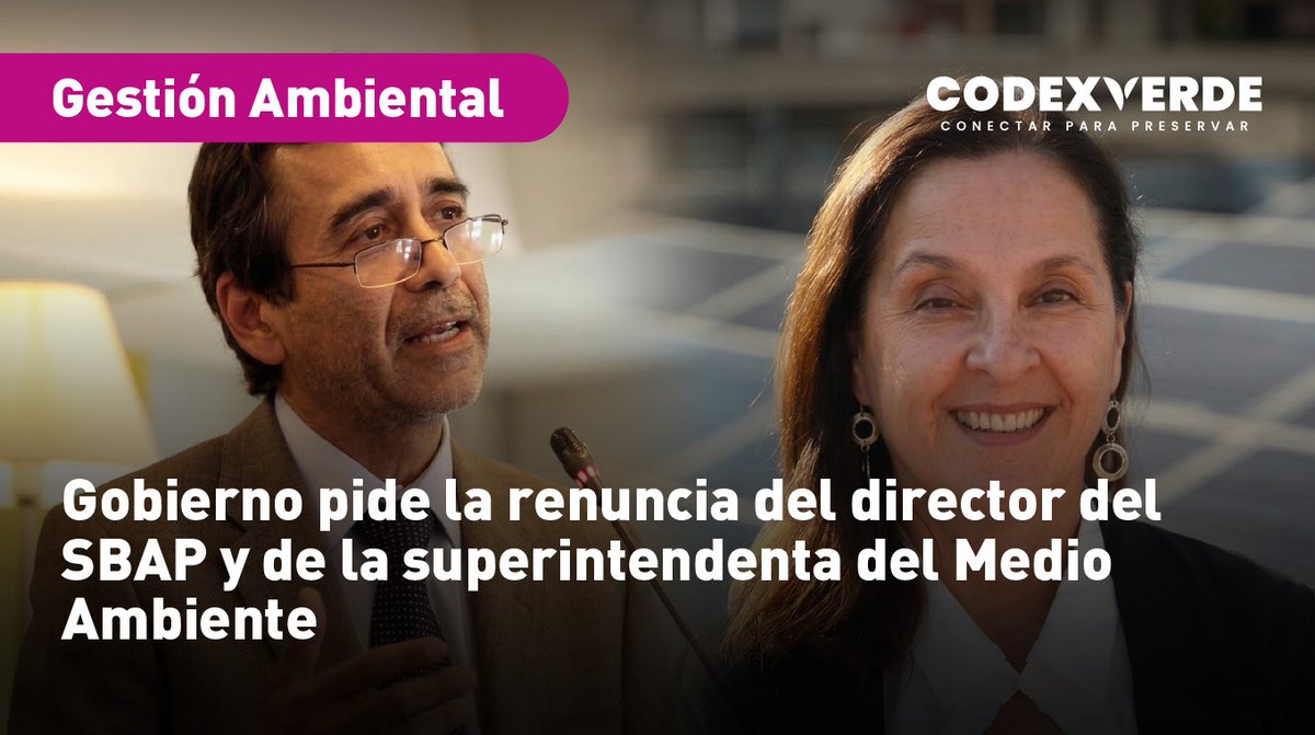 Codexverde tweet media