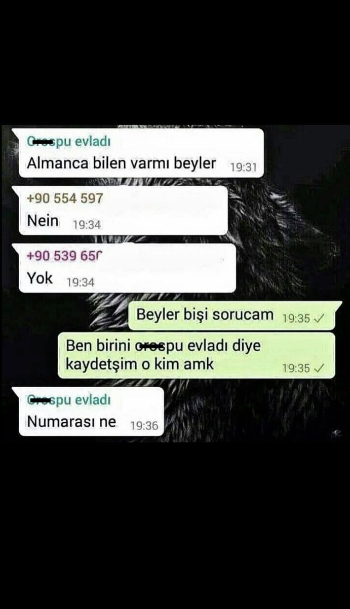 Türevin ekstremum noktasi olan amino asit tweet media