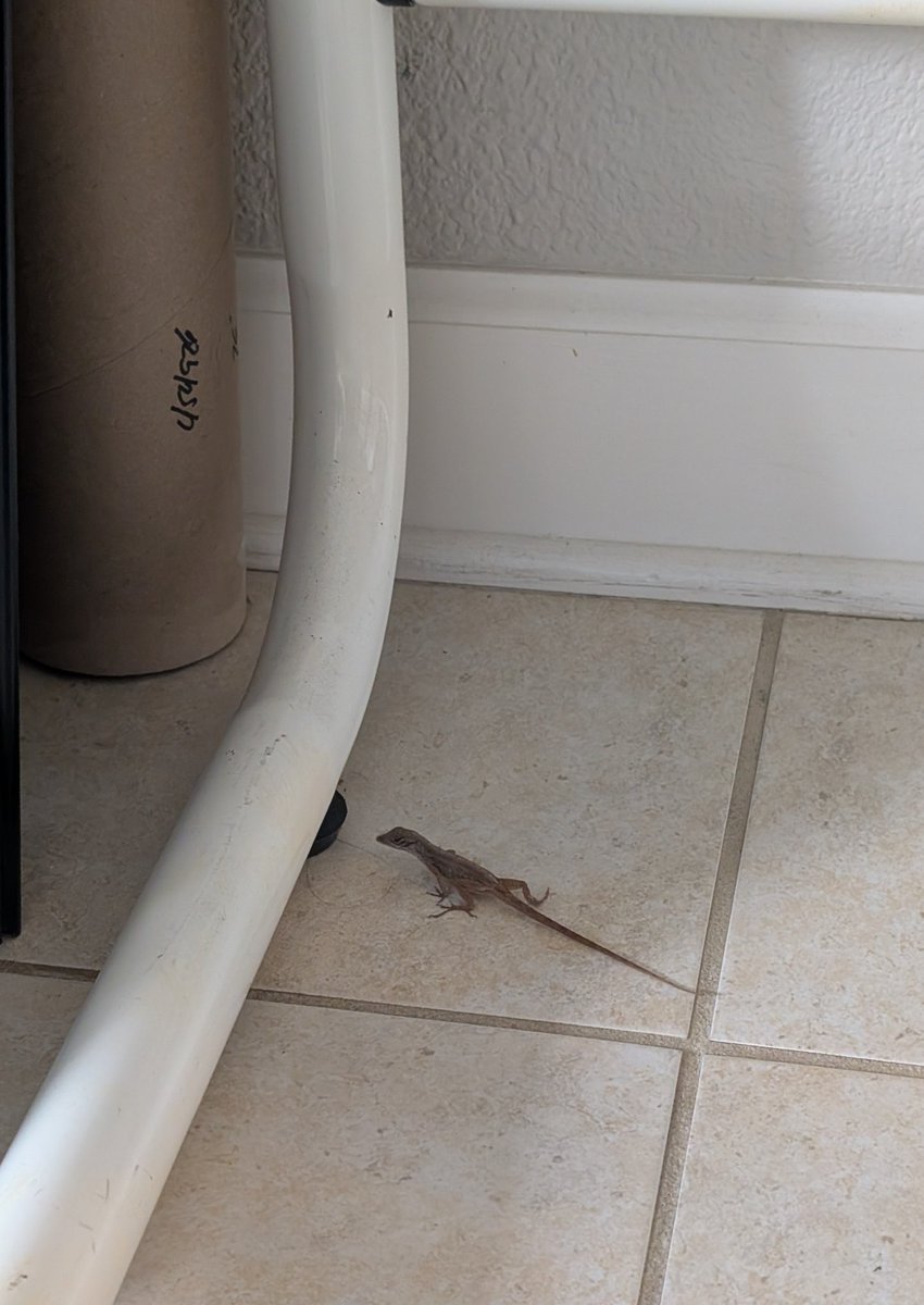 Dorthe's Joy of Creation | NFTNYC 2025 tweet media