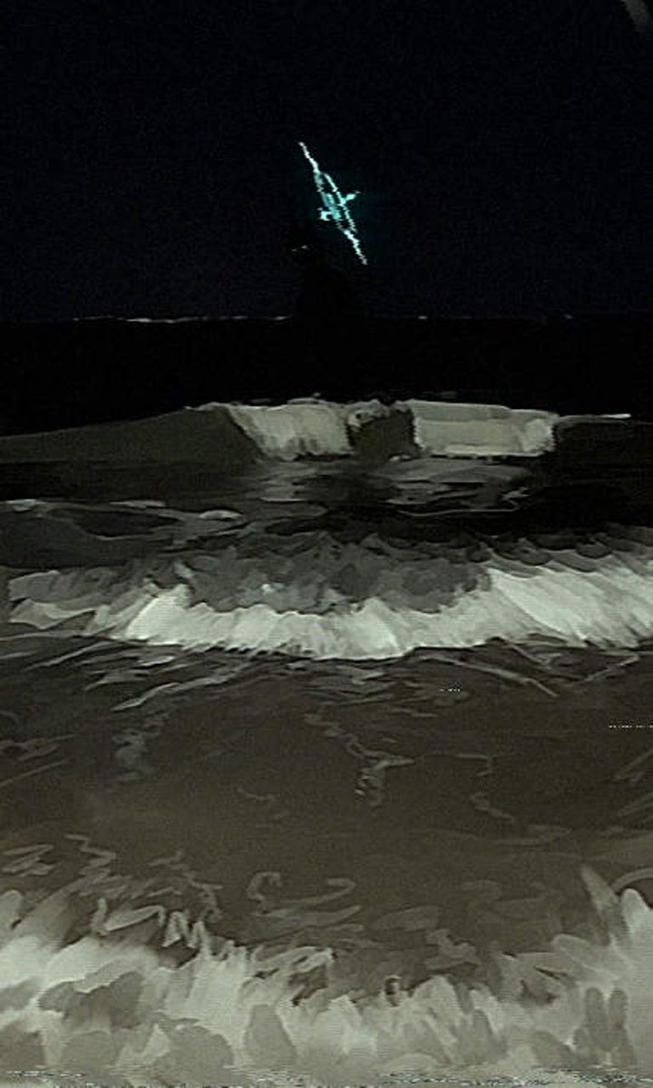 あるかり tweet media