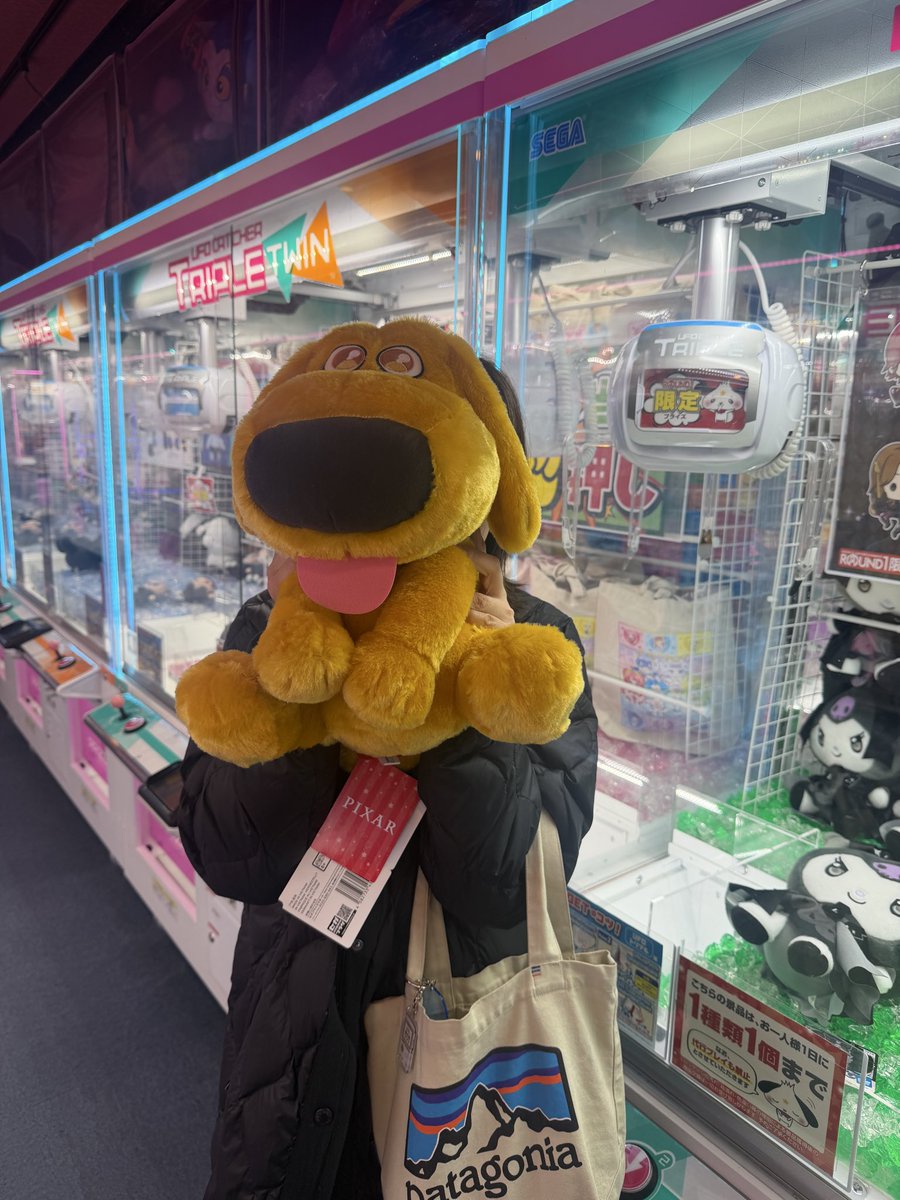 chitose🐶🥔🩷🎼🦷🍖💡🎹 tweet media