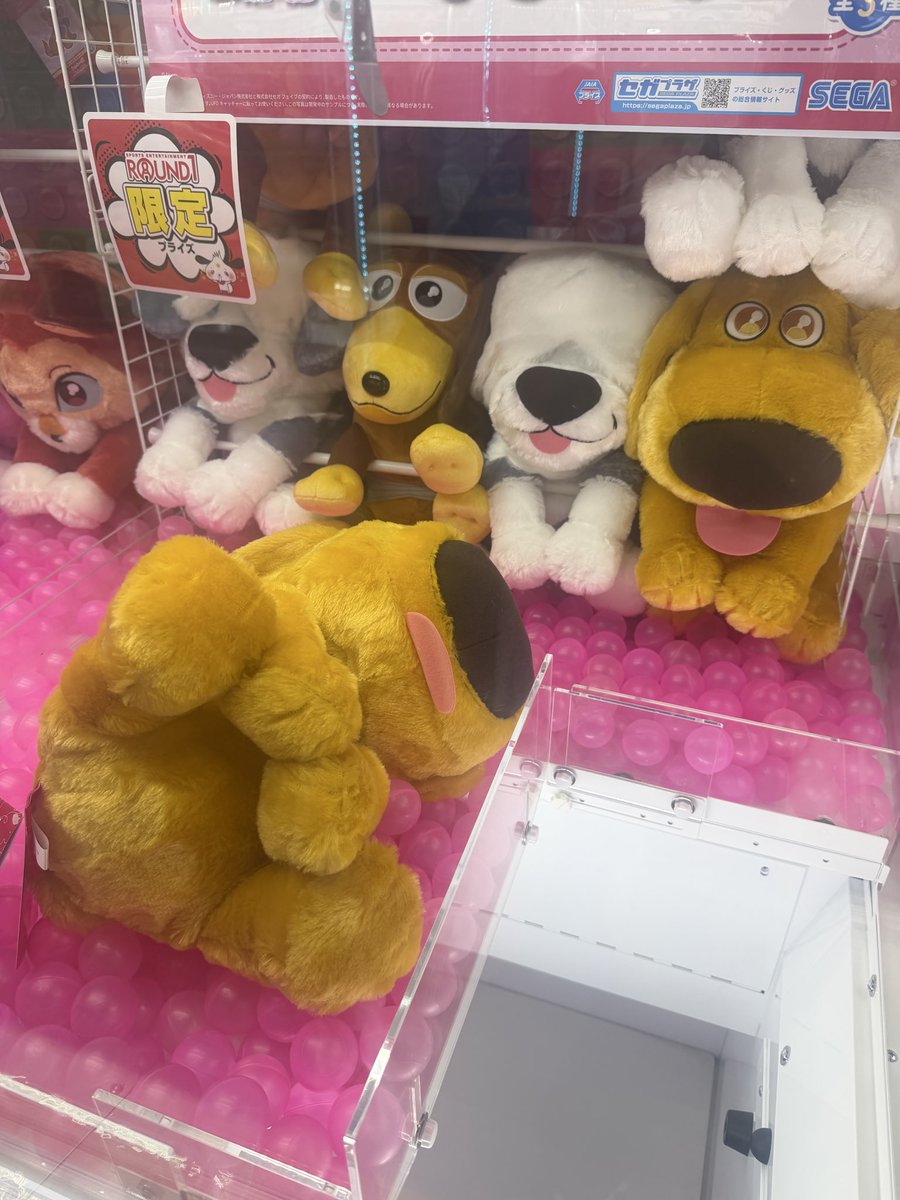 chitose🐶🥔🩷🎼🦷🍖💡🎹 tweet media