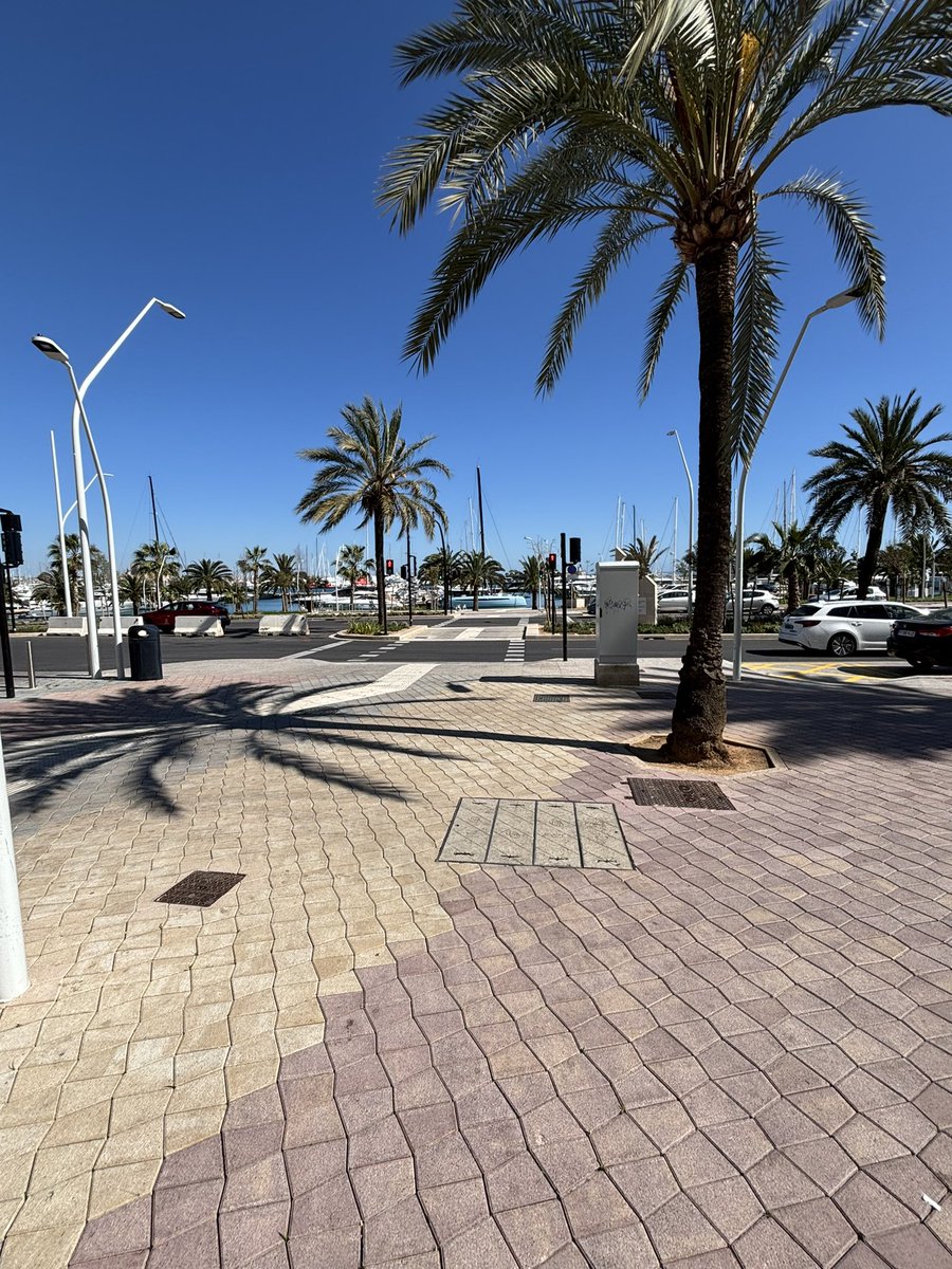 Craig Forsyth tweet media