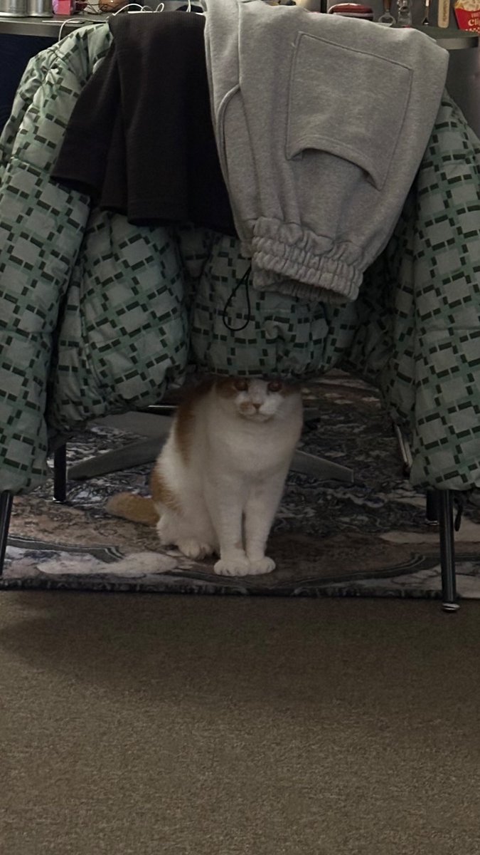 DC 휘인 마이너 갤러리 tweet media