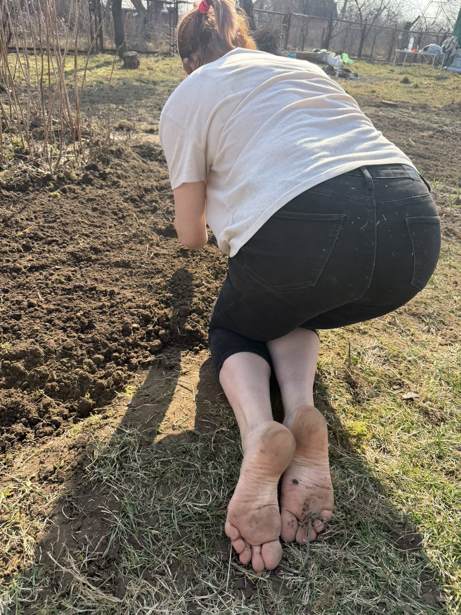 Michaelle tweet media