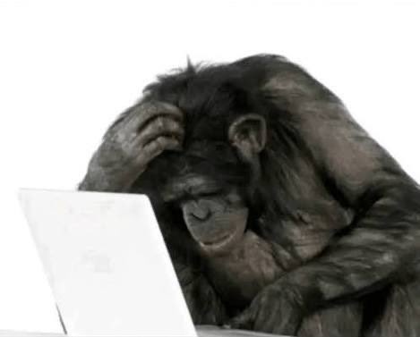 brenda 🌱 tweet media