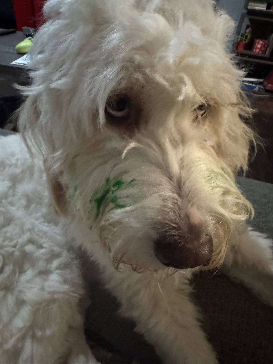 Cus Fragoso tweet media